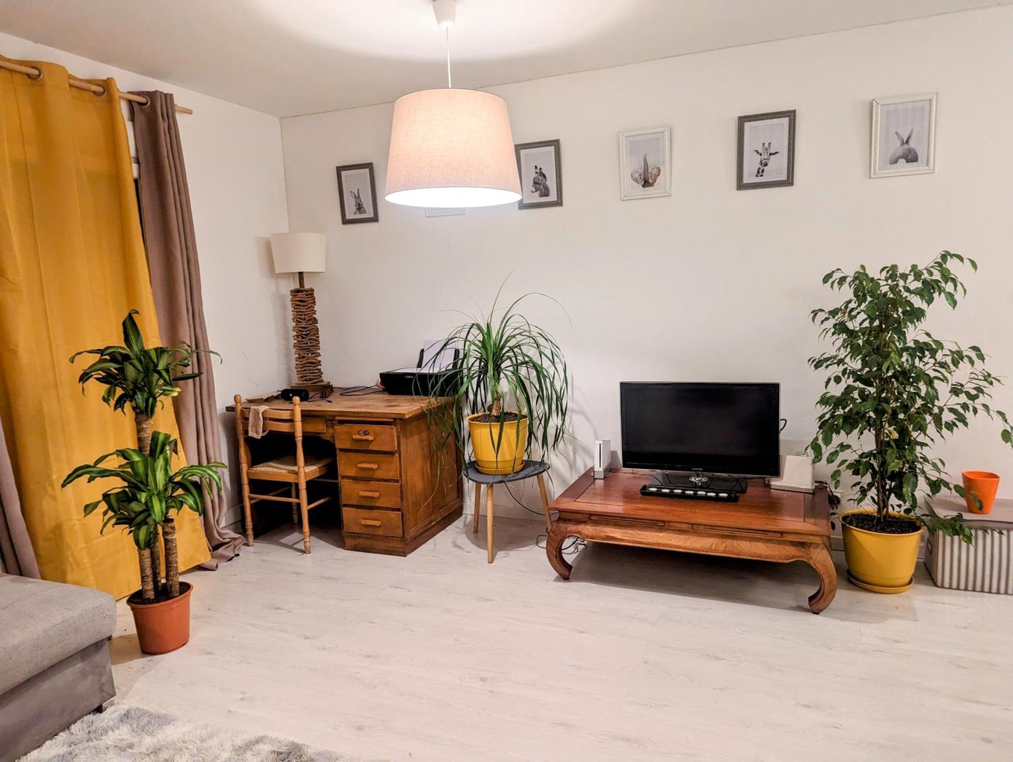 Appartement Cocooning Perpignan Buitenkant foto